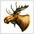 cross stitch pattern Moose