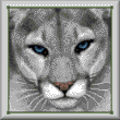 cross stitch pattern Grey Puma