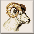 cross stitch pattern Ram