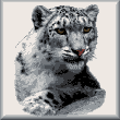 cross stitch pattern Snow Leopard