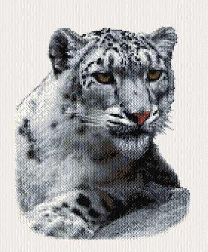 cross stitch pattern Snow Leopard
