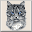 cross stitch pattern Tiger (grey tabby)