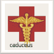 cross stitch pattern Medical Caudeus