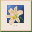 cross stitch pattern Lily