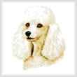 cross stitch pattern White Poodle
