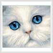 cross stitch pattern Blue Eyed Persian