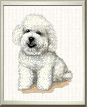 cross stitch pattern Brutus - Bischon Frise