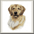 cross stitch pattern Golden retriever