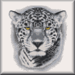 cross stitch pattern Jaguar