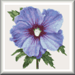 cross stitch pattern Rose of Sharon