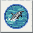 cross stitch pattern Bottlenose Dophin