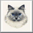 cross stitch pattern Himalayan