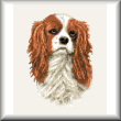 cross stitch pattern King Charles Cavalier