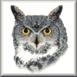 cross stitch pattern Great Horned Owl