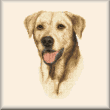 cross stitch pattern Yellow Labrador Retriever