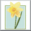 Cross stitch pattern Daffodil