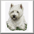 cross stitch pattern West Highland Terrier