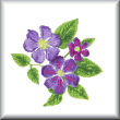 cross stitch pattern Clematis