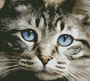 cross stitch pattern Blue Eyes