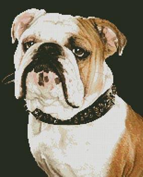 cross stitch pattern Bulldog