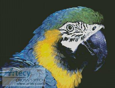 cross stitch pattern Blue and Yellow Macaw