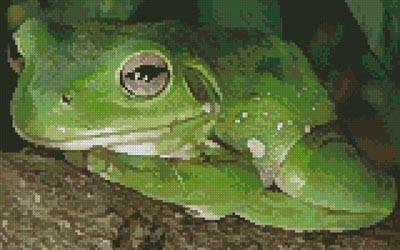 cross stitch pattern Green Tree Frog 2