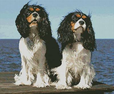 cross stitch pattern Two Cavalier King Charles