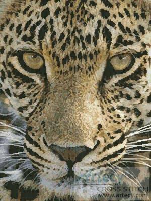 cross stitch pattern Leopard Close Up