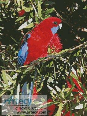 cross stitch pattern Crimson Rosella
