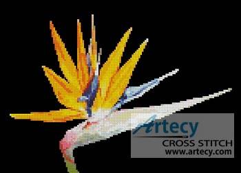 cross stitch pattern Bird of Paradise