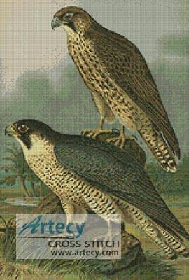 cross stitch pattern Birds 2