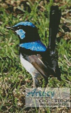 cross stitch pattern Blue Wren