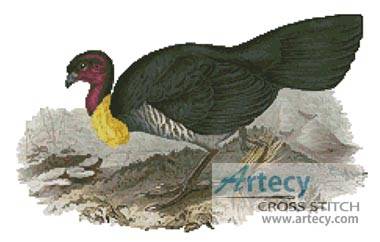 cross stitch pattern Brush Turkey