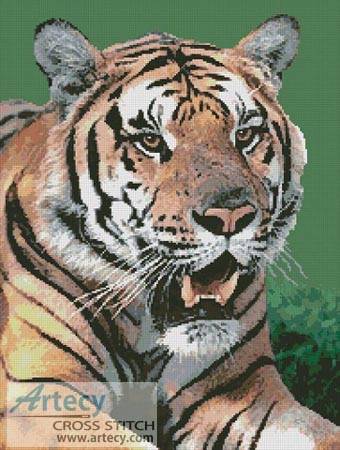cross stitch pattern Bengal Tiger 2