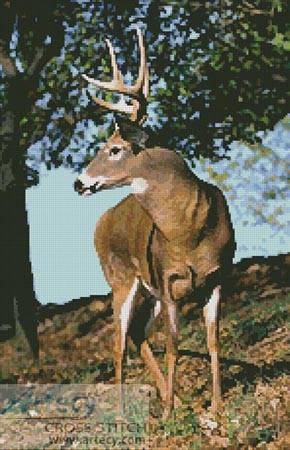 cross stitch pattern Buck 2