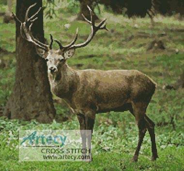 cross stitch pattern Buck Photo