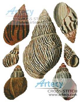 cross stitch pattern Bulla Shells