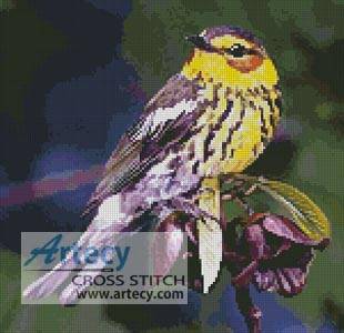 cross stitch pattern Cape May Warbler