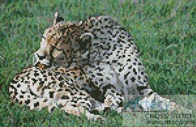 cross stitch pattern Cheetah