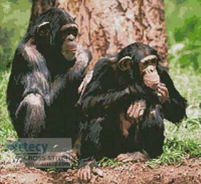 cross stitch pattern Chimpanzees