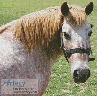 cross stitch pattern Cleo the Pony