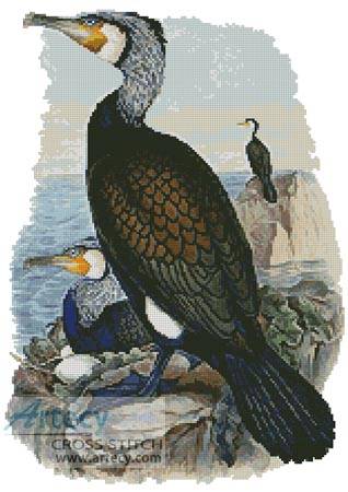 cross stitch pattern Cormorant