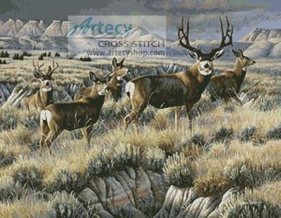 cross stitch pattern Up from the Coulee