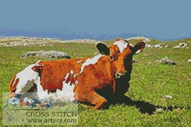 cross stitch pattern Cow