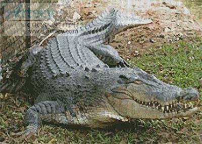 cross stitch pattern Crocodile