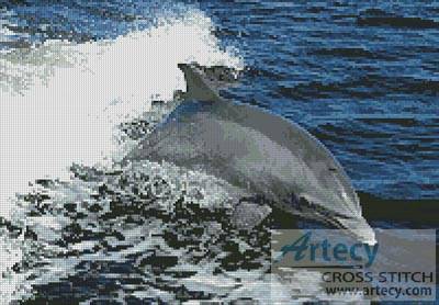 cross stitch pattern Dolphin Photo