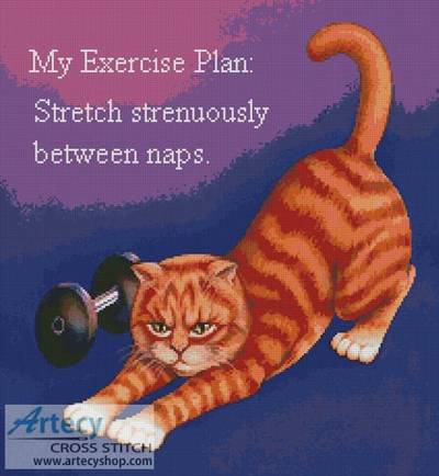 cross stitch pattern Exercise Plan