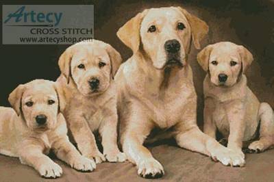cross stitch pattern Golden Retrievers