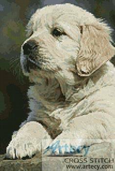 cross stitch pattern Golden Retriever Puppy