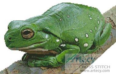 cross stitch pattern Green Tree Frog